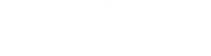 Level10 CFO logo